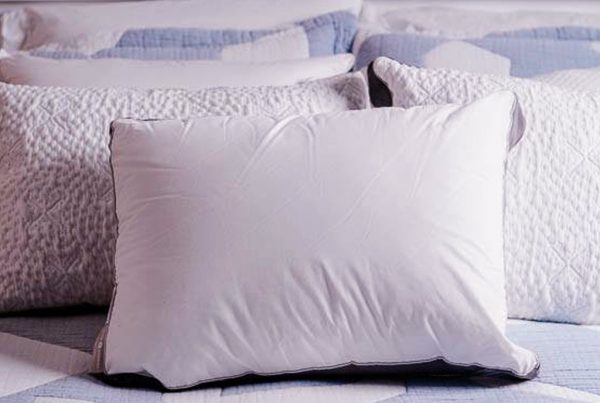 Lisa Libutti • Sleep Wellness Specialist 28 Sleep Number PlushComfort Pillow Ultimate Review