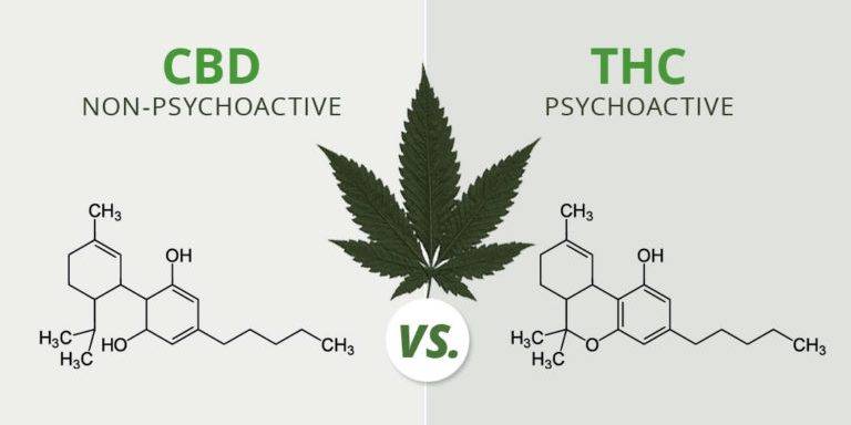 The Pros & Cons of Using Cannabis for Sleep • THC vs CBD for sleep