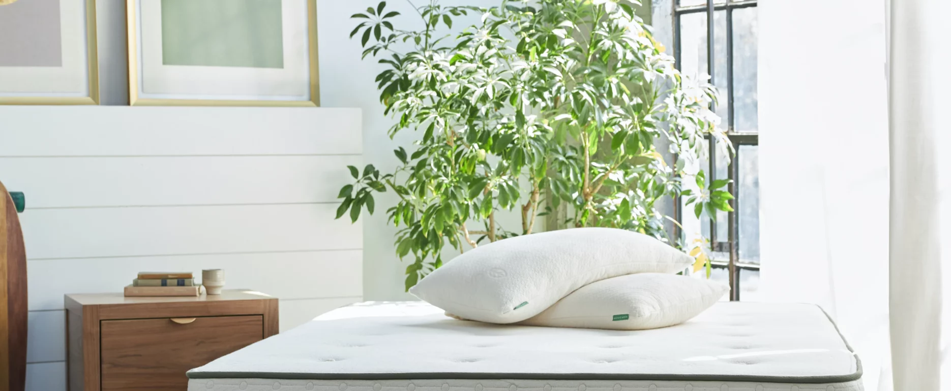 Avocado Green Standard Firm Mattress Review - Eco-friendly mattress