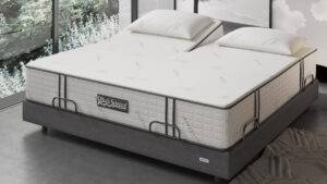 Best Mattress - Back Science Series 2 Bed System - Mattress Review (Sleep Examiner)