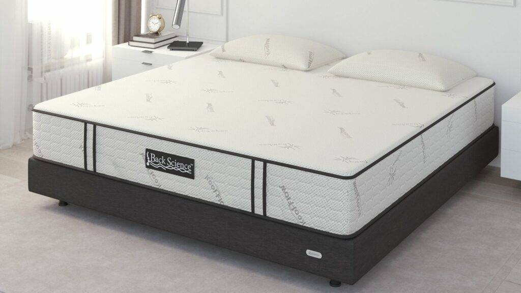 Back Science Series 2 Mattress Reviewed