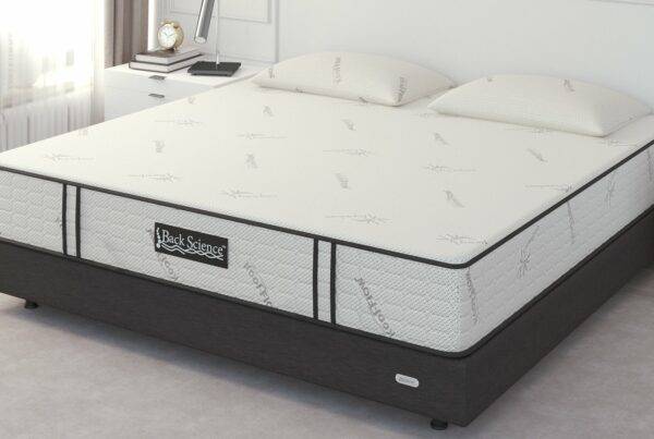 Back Science Series 2 Mattress Reviewed