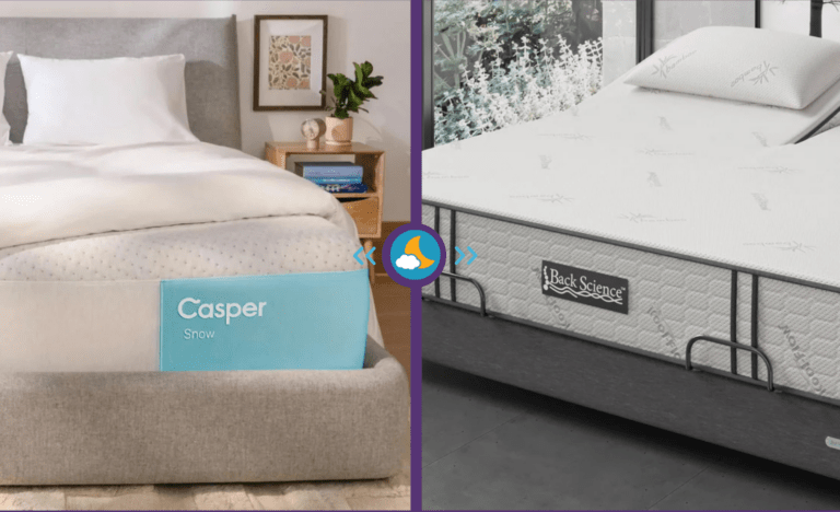 Back Science Series 2 vs. Casper Snow Hybrid Mattress Comparison 2 Mattress Comparison: Back Science Series 2 and Casper Snow Hybrid Mattress