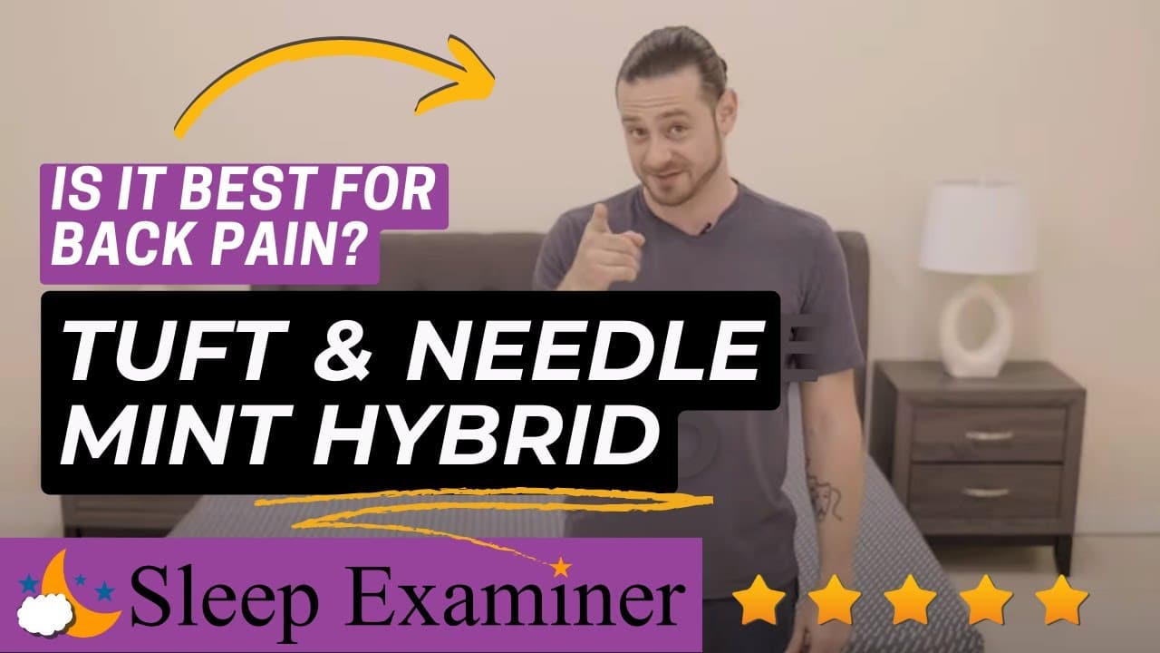 Best Mattress For Back Pain Stearns & Foster Mattress Review